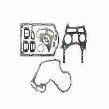 MASSEY FERGUSON TRACTOR GASKET KIT (AGCO) 4225303M91