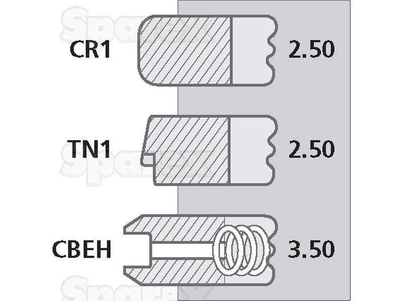 Piston Ring for Landini Rex 80 (Vineyard Tractor - Rex Series)
