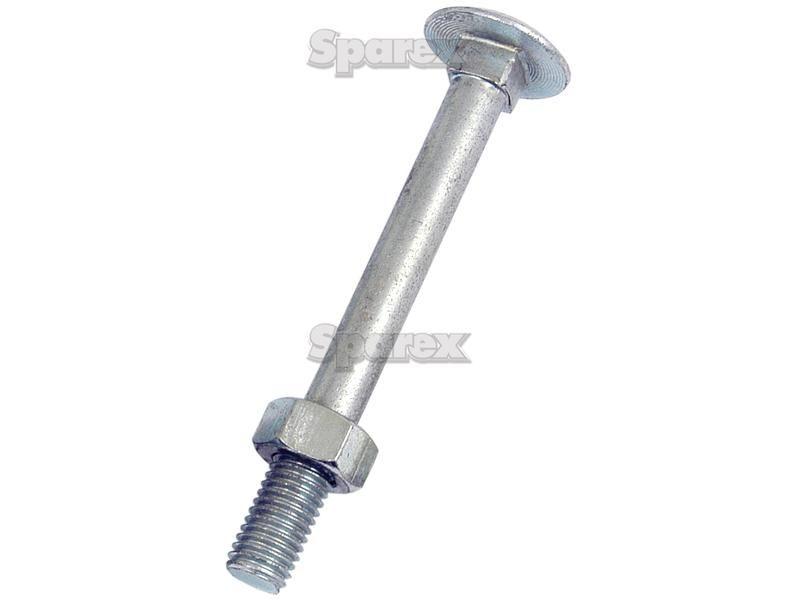 Metric Carriage Bolt and Nut, Size: M12 x 180mm (Din 603/555)