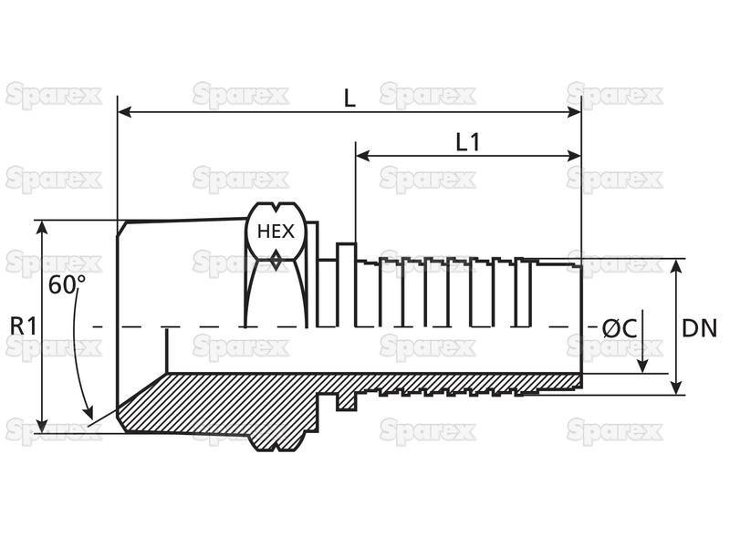 Dicsa NPT Hose Insert 1'' x 3/4'' Male Thread Straight