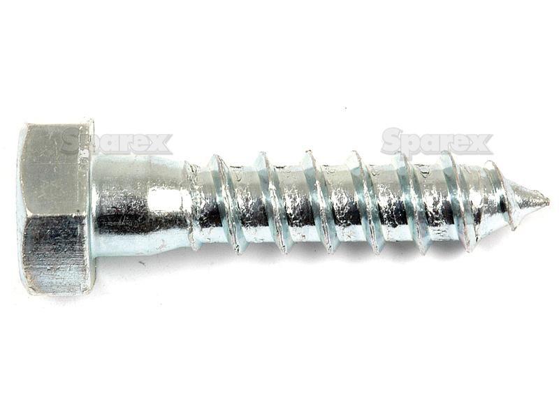 Metric Coach Screw, Size: M12 x 50mm (Din 571)