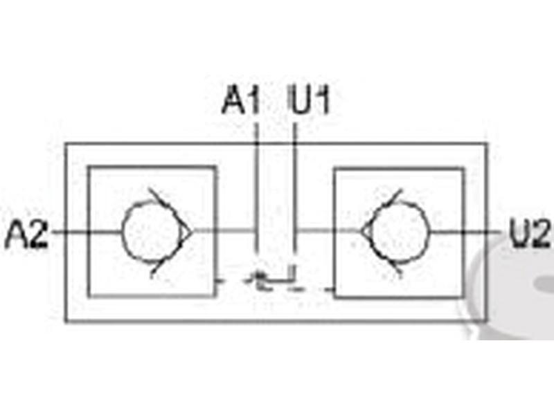 Hydraulic Double Acting Check Valve 1/4''BSP Bondioli & Pavesi (VRDE01FFF)