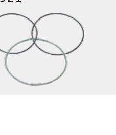 VALTRA TRACTOR LINER O-RING (AGCO) V836647502