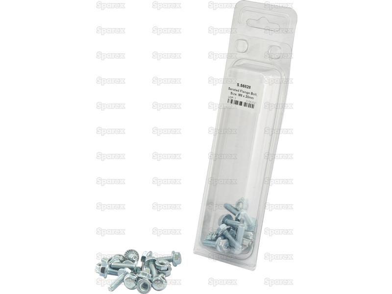 Serated Flange Bolt, Size: M6 x 20mm