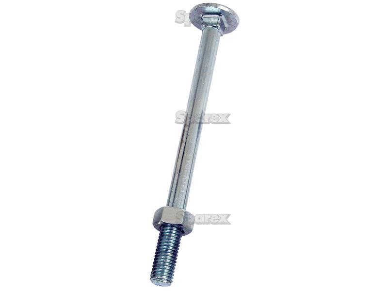 Metric Carriage Bolt and Nut, Size: M10 x 160mm (Din 603/555)