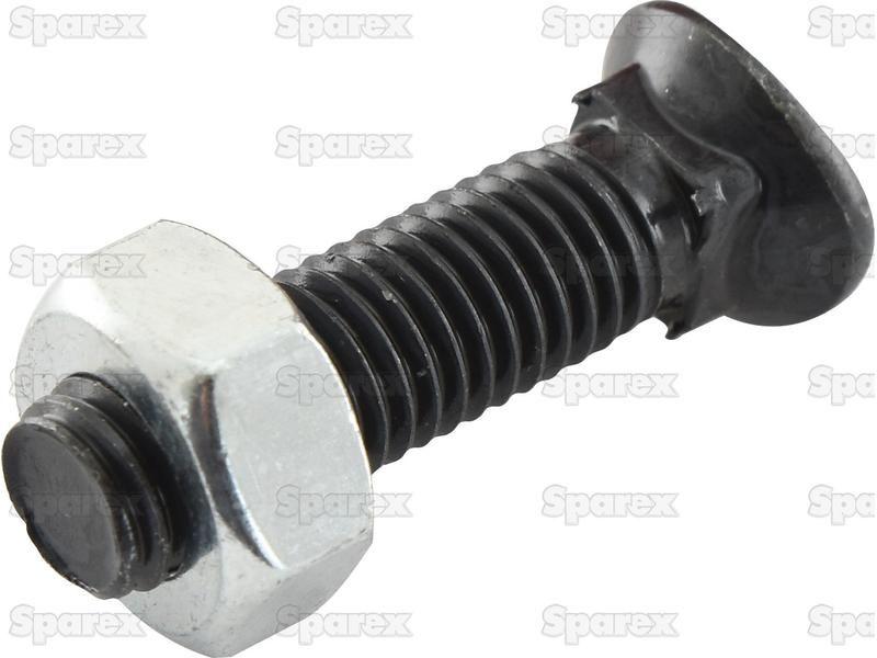 Oval Head Bolt Square Collar With Nut (TOCC) - M10 x 38mm, Tensile strength 8.8 (25 pcs. Box)