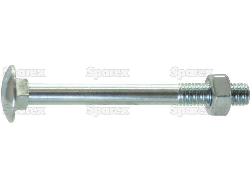 Metric Carriage Bolt and Nut, Size: M12 x 40mm (Din 603/555)