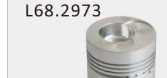 New Holland Piston 193122181710338