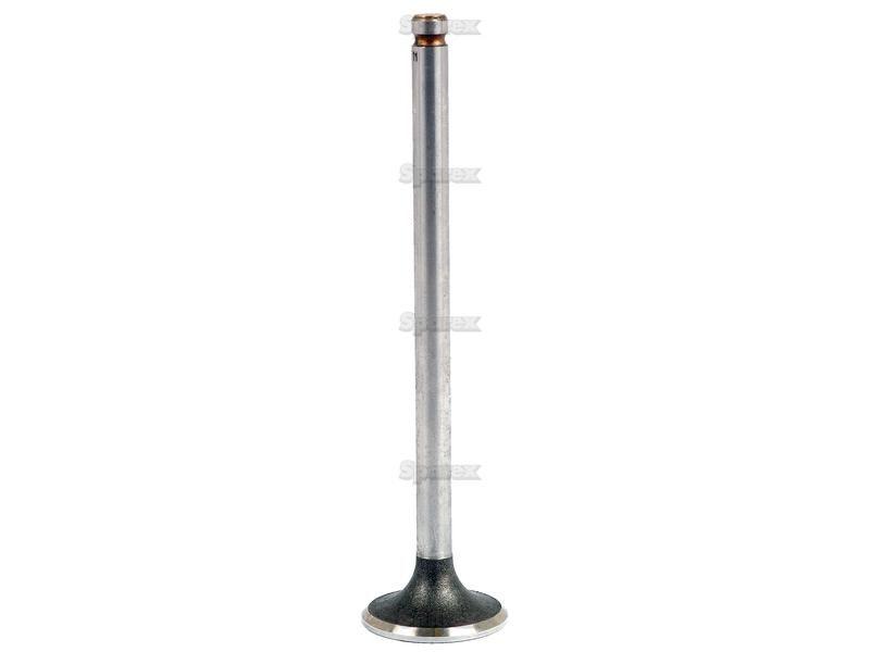 Exhaust Valve for Leyland 4DM