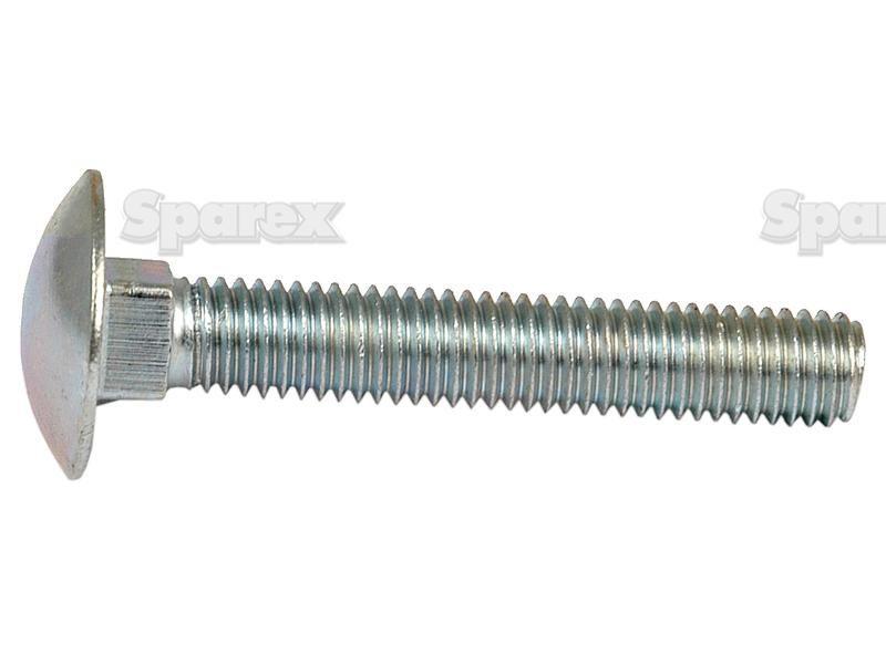 Metric Carriage Bolt and Nut, Size: M8 x 50mm (Din 603/555)