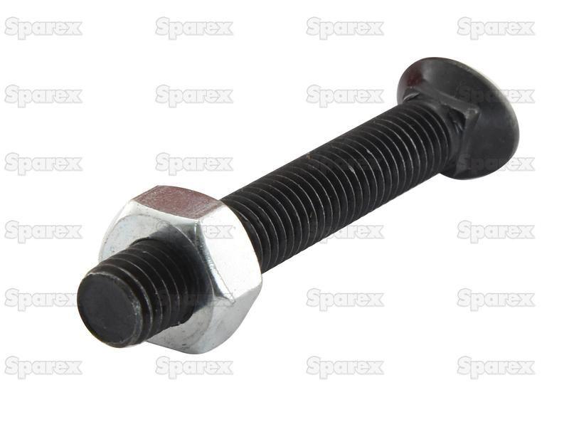 Oval Head Bolt Square Collar With Nut (TOCC) - M8 x 35mm, Tensile strength 8.8 (10 pcs. Agripak)